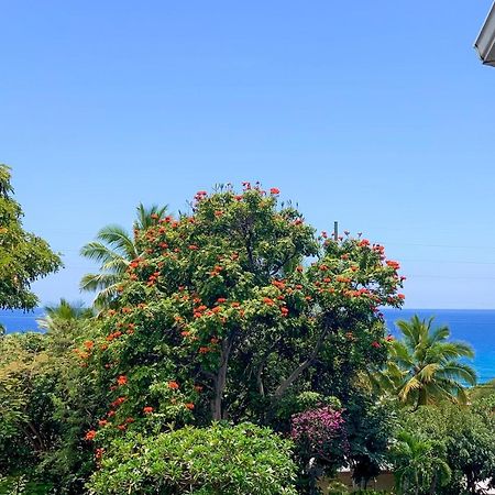 Апартаменты A Little Aloha Каилуа-Кона Экстерьер фото
